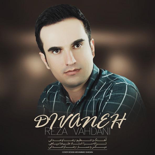 رضا وحدانی دین (دیوانه)